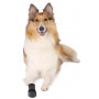 Ботинки Trixie «Walker Care» для собак, полиэстер, размер XL, 2 шт (черные)