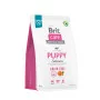 Сухой корм Brit Care Dog Grain-free Puppy для щенков, беззерновой с лососем, 3 кг